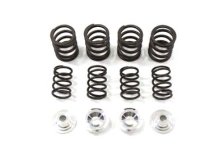 Valve Spring Kit (image for) Valve Spring Kit