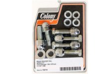 Rear Fender Strut Bolt Kit Acorn Style (image for) Rear Fender Strut Bolt Kit Acorn Style