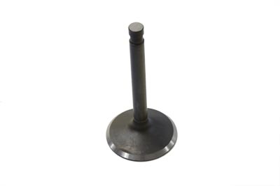 Nitrate Steel Intake Valve - Click Image to Close