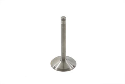 Stainless Steel Intake Valve - Click Image to Close