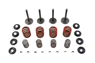 Nitrate Valve and Spring Kit - Click Image to Close
