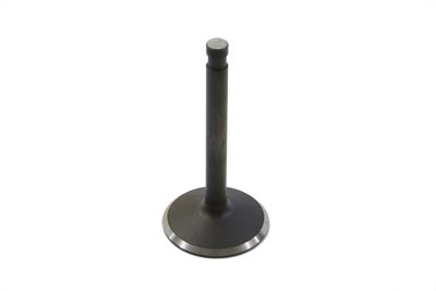 Stainless Steel Natural Intake Valve - Click Image to Close