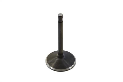 1000cc Stainless Black Diamond Intake Valve - Click Image to Close