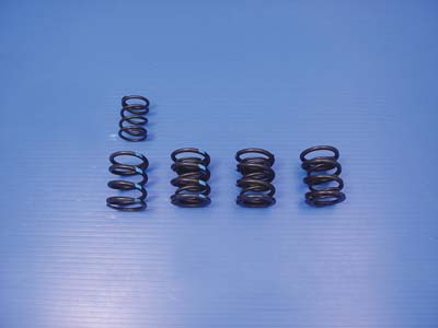 Thermo Cool Valve Spring Set